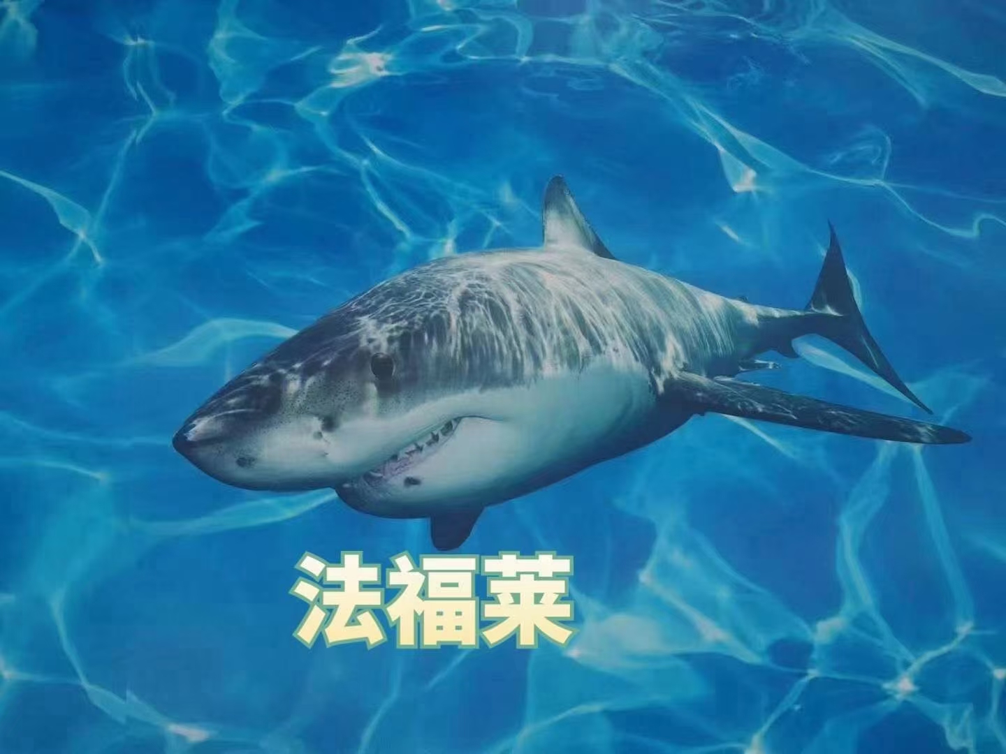 關(guān)于PVC地板的幾項(xiàng)錯(cuò)誤認(rèn)知，您有過(guò)嗎【騰方PVC地板】